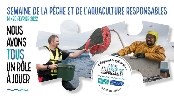 Nous avons testé pour vous les nouvelles boites de pêches